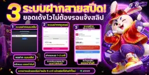สล็อต 8X8WIN เว็บตรง ไม่ผ่านเอเย่นต์
